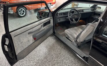 Buick-LeSabre-1986-Coupe-17