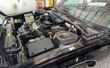 Buick-LeSabre-1986-Coupe-39
