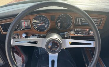 Buick-Regal-1976-Other-11