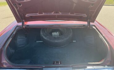 Buick-Regal-1976-Other-14