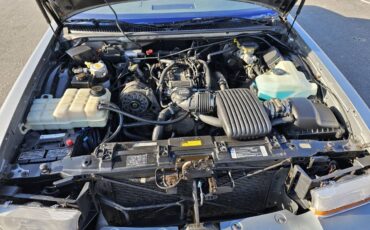 Buick-Roadmaster-1994-blue-3
