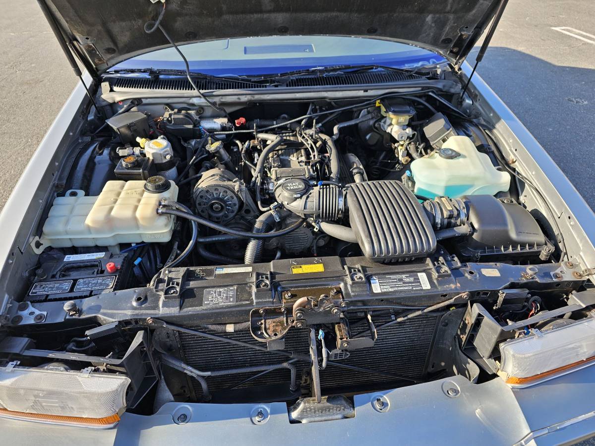 Buick-Roadmaster-1994-blue-3