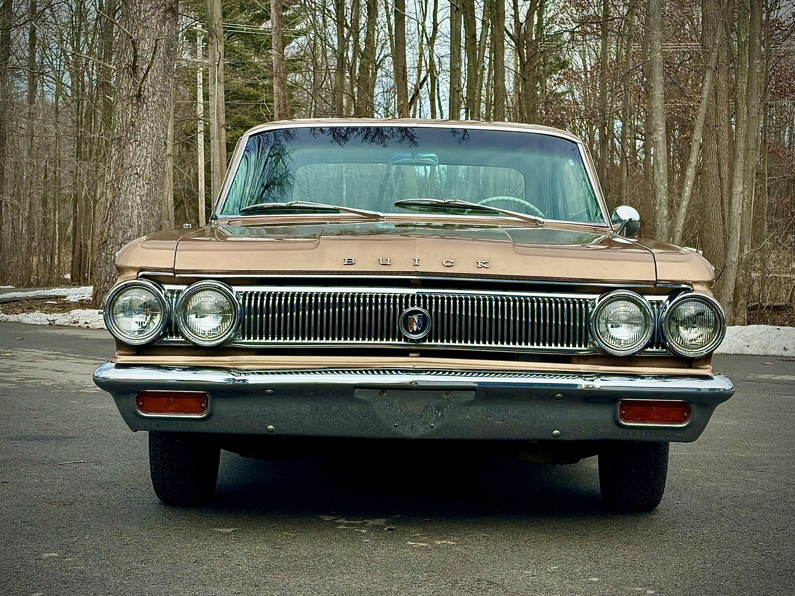 Buick-Skylark-1963-6