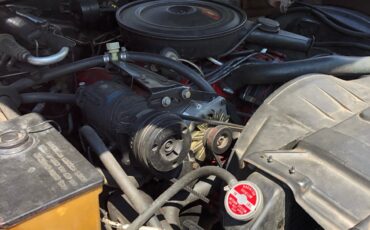 Buick-Skylark-1971-Convertible-20