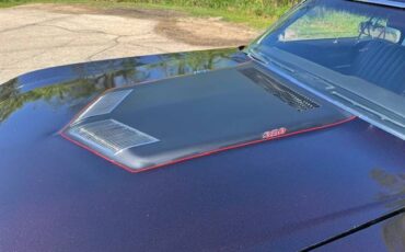 Buick-Skylark-gs-clone-1969-custom-1