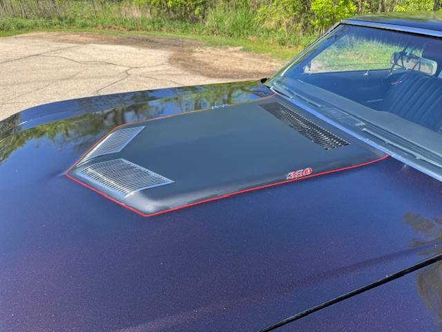 Buick-Skylark-gs-clone-1969-custom-1