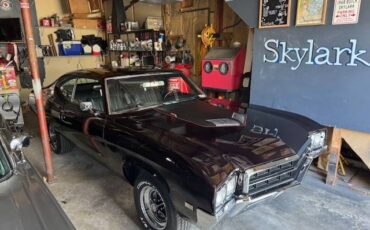 Buick-Skylark-gs-clone-1969-custom-17