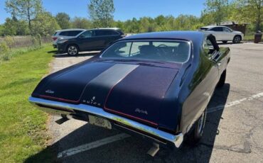 Buick-Skylark-gs-clone-1969-custom-6