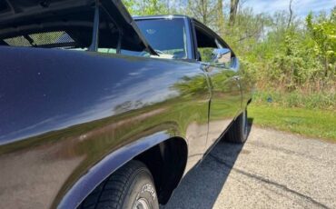 Buick-Skylark-gs-clone-1969-custom-9