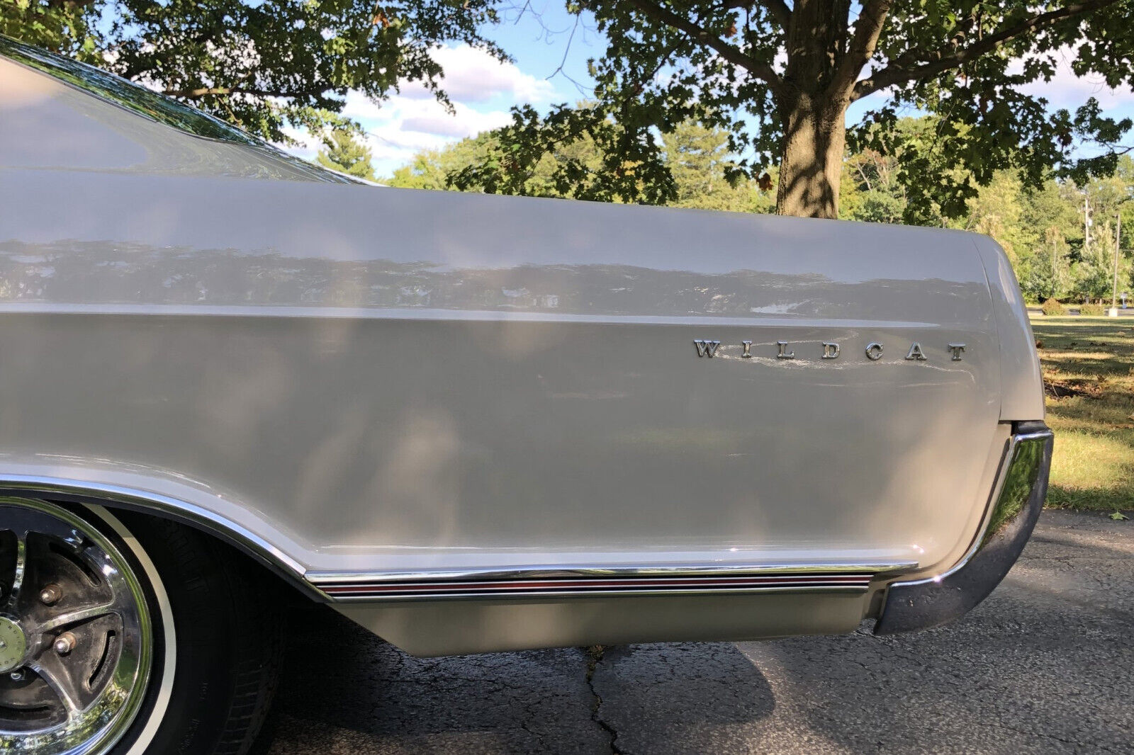 Buick-Wildcat-1966-Coupe-4
