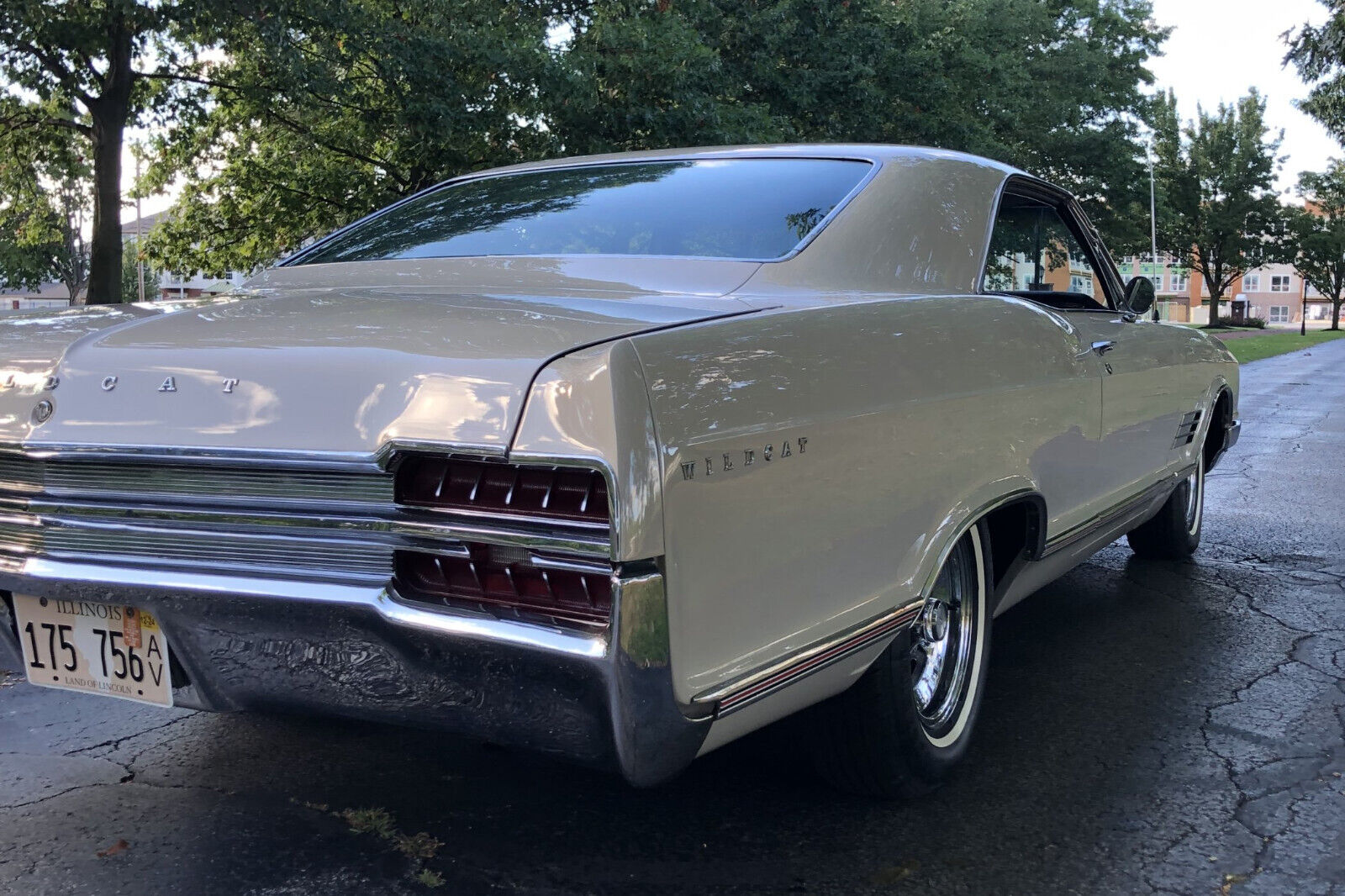Buick-Wildcat-1966-Coupe-8