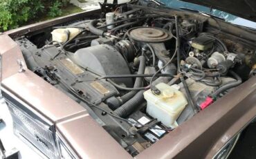 Cadillac-4dr-sedan-deville-1984-brown-6
