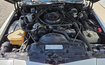 Cadillac-Brougham-1989-26