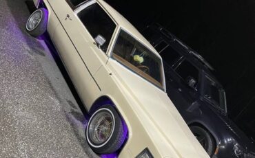 Cadillac-Coupe-deville-1979-12