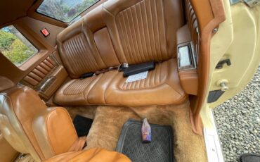 Cadillac-Coupe-deville-1979-8