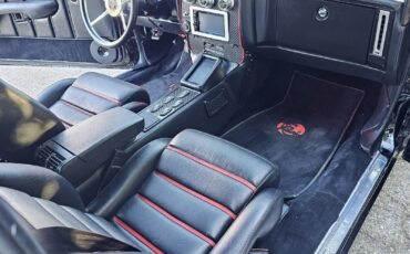 Cadillac-DeVille-1979-Convertible-34