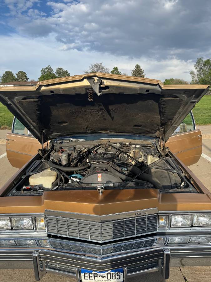 Cadillac-Devile-1977-10