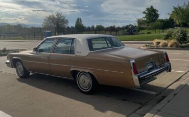 Cadillac-Devile-1977-2