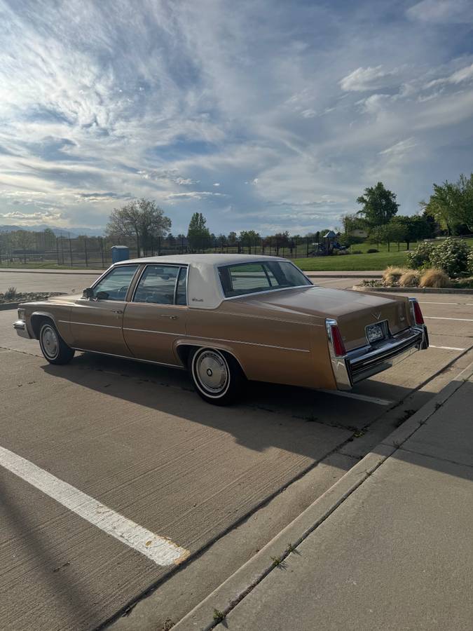 Cadillac-Devile-1977-2