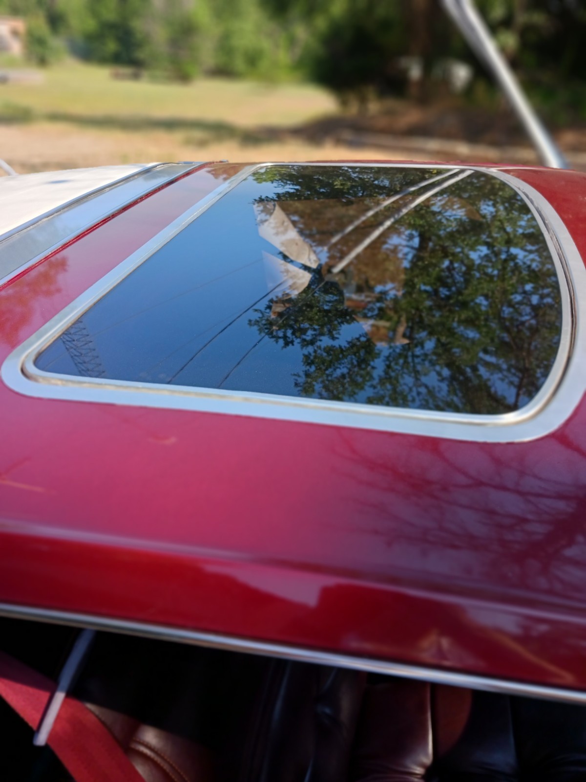 Cadillac-Eldorado-1981-Coupe-14
