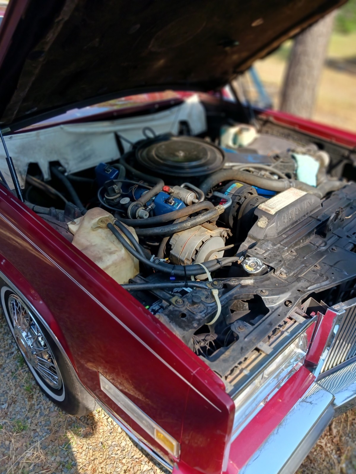 Cadillac-Eldorado-1981-Coupe-19