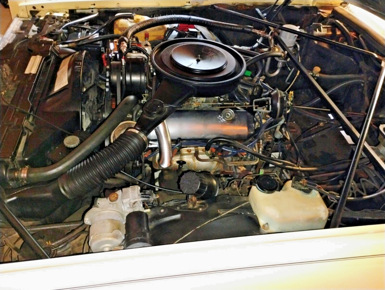 Cadillac-Eldorado-1983-Coupe-38