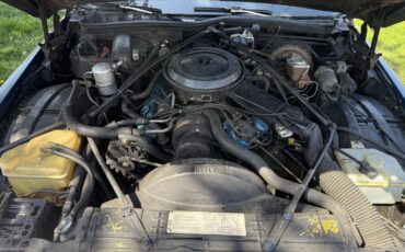 Cadillac-Fleetwood-1980-Sedan-18