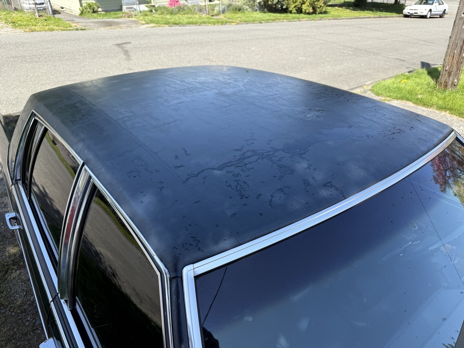 Cadillac-Fleetwood-1980-Sedan-8