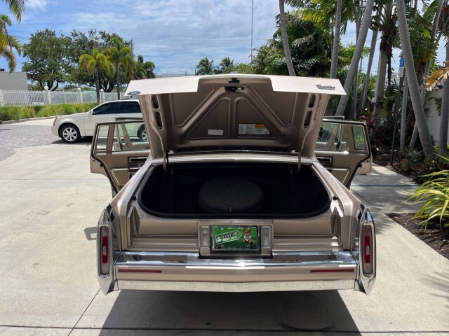 Cadillac-Fleetwood-1991-Sedan-15