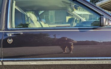 Cadillac-Fleetwood-1992-Coupe-13