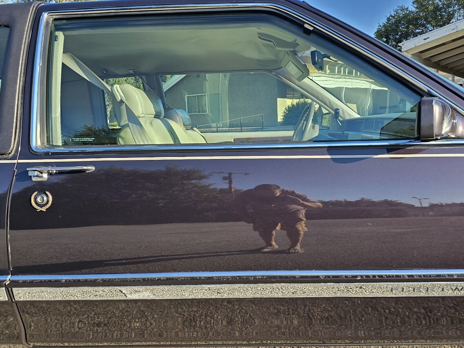 Cadillac-Fleetwood-1992-Coupe-13
