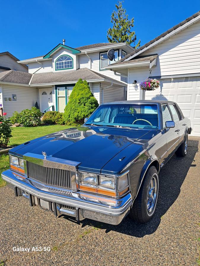 Cadillac-Seville-1977-blue-7
