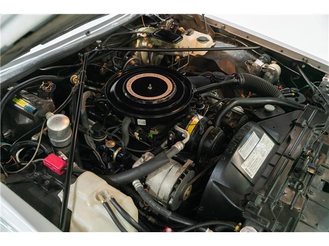 Cadillac-Seville-1984-Sedan-21