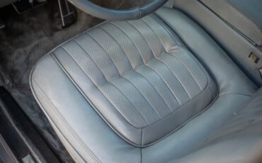 Cadillac-Seville-Elegante-1979-4-Door-Sedan-32