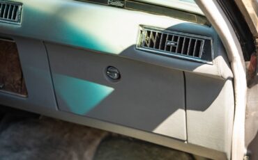Cadillac-Seville-Elegante-1979-4-Door-Sedan-38