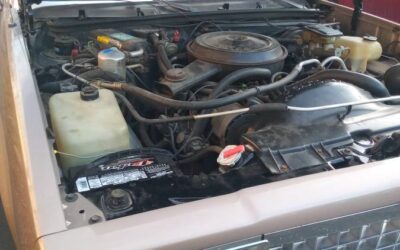 Chevrolet  1984