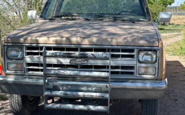 Chevrolet-20-deluxe-1985-brown-1