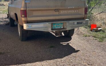 Chevrolet-20-deluxe-1985-brown-2