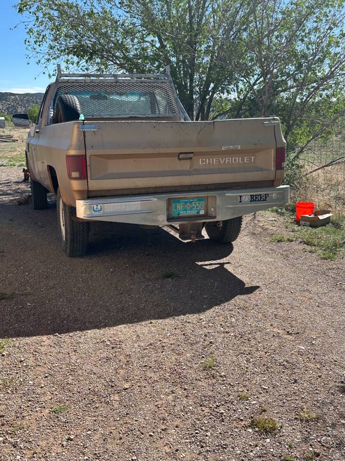 Chevrolet-20-deluxe-1985-brown-2