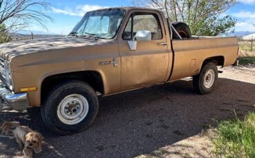 Chevrolet-20-deluxe-1985-brown