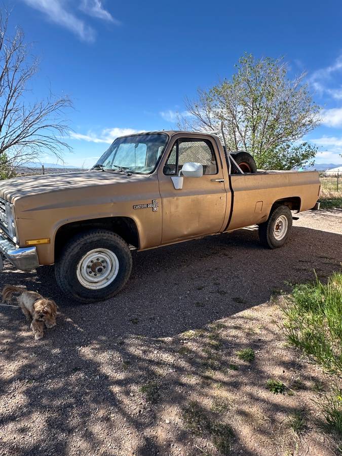 Chevrolet-20-deluxe-1985-brown