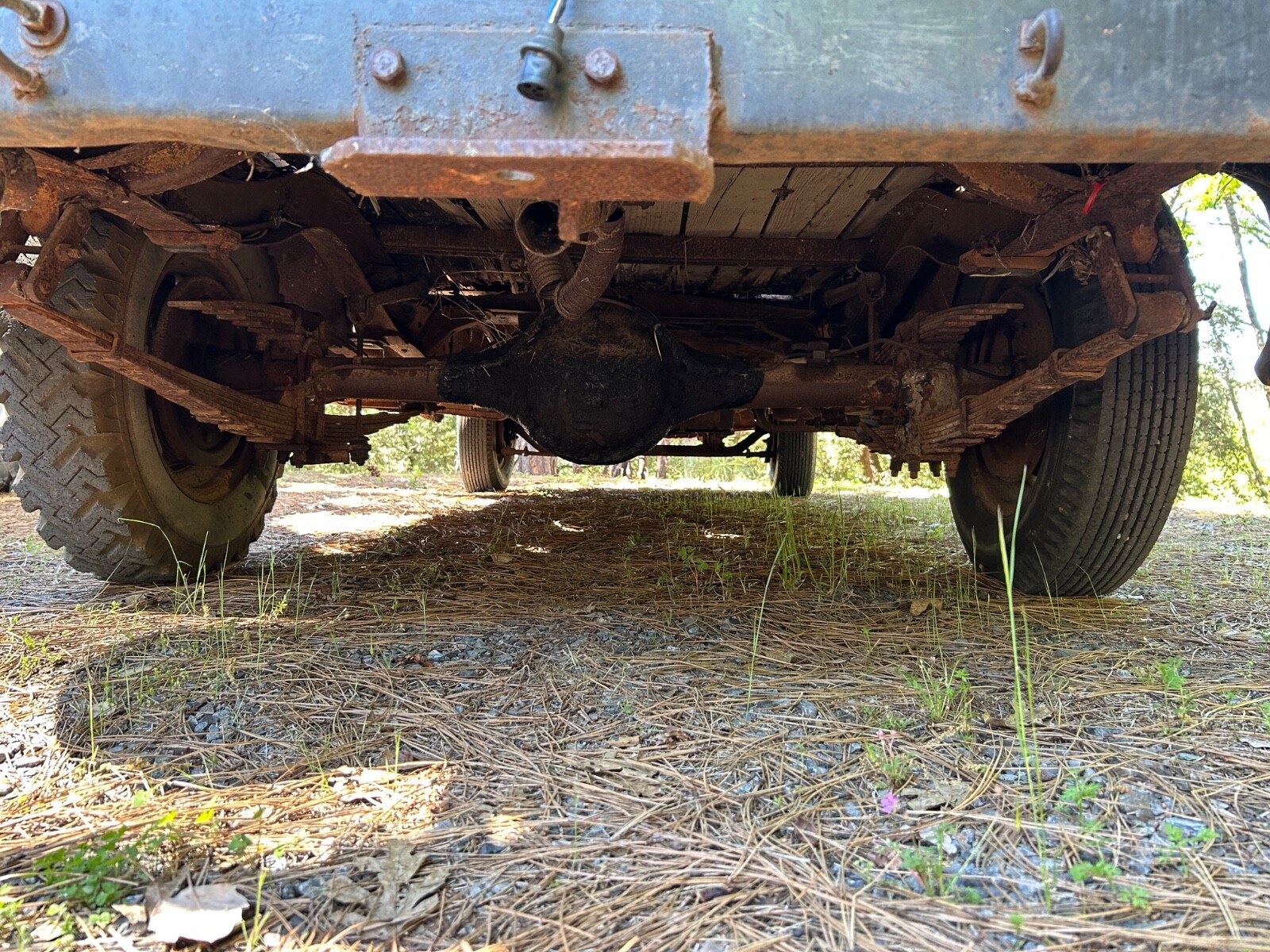 Chevrolet-3100-1946-15