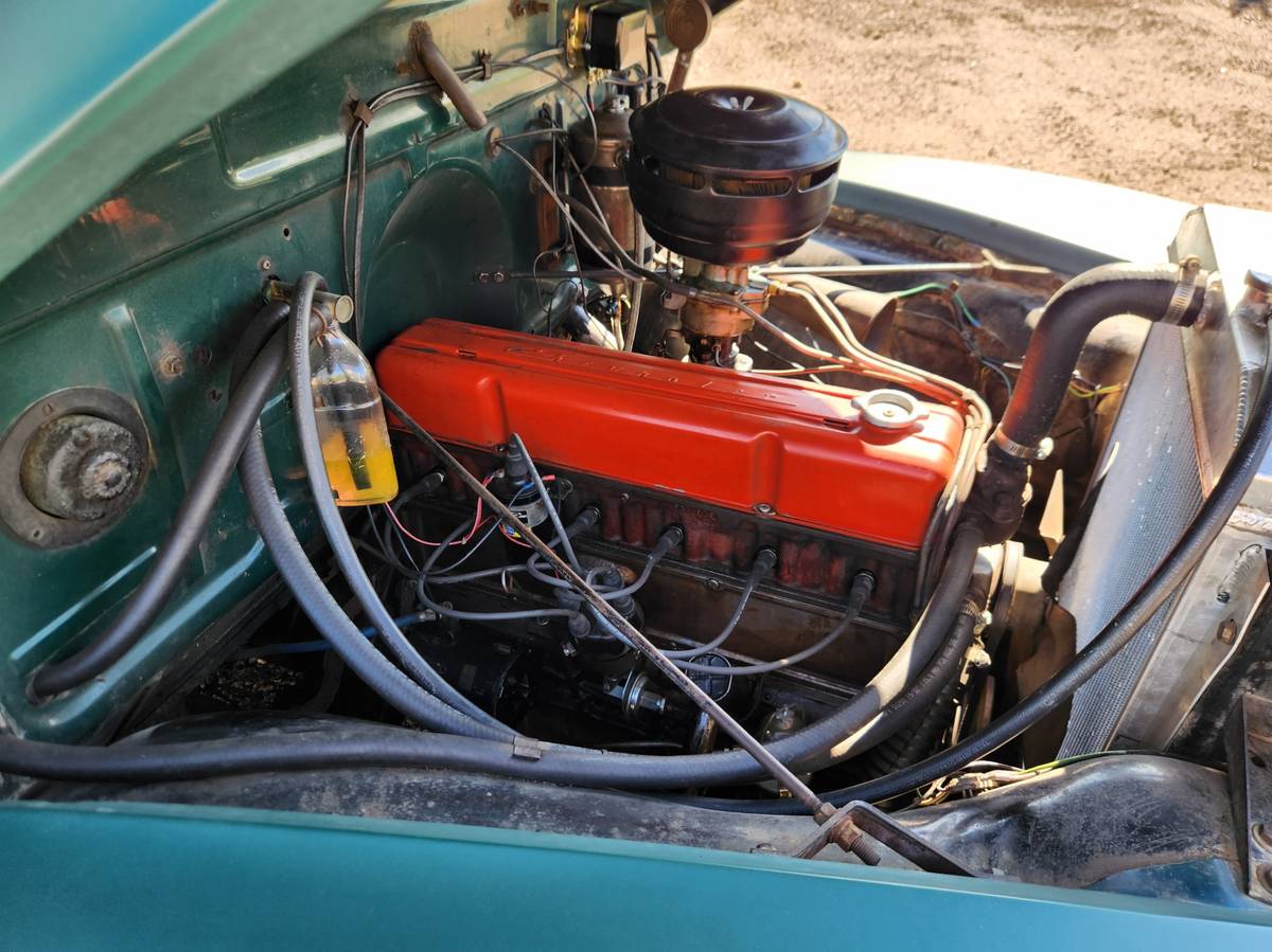 Chevrolet-3100-5-window-truck-1955-21
