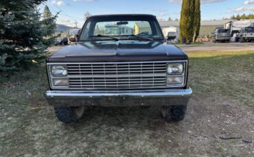Chevrolet-34-ton-4x4-1984-brown-1