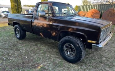 Chevrolet-34-ton-4x4-1984-brown-2