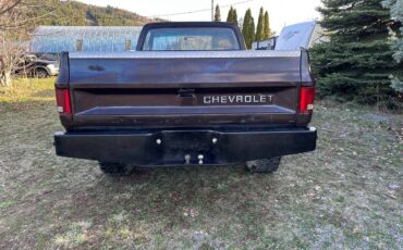Chevrolet-34-ton-4x4-1984-brown-3