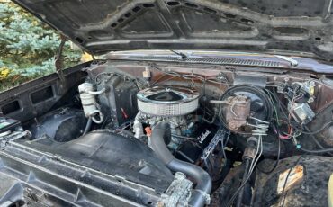 Chevrolet-34-ton-4x4-1984-brown-6