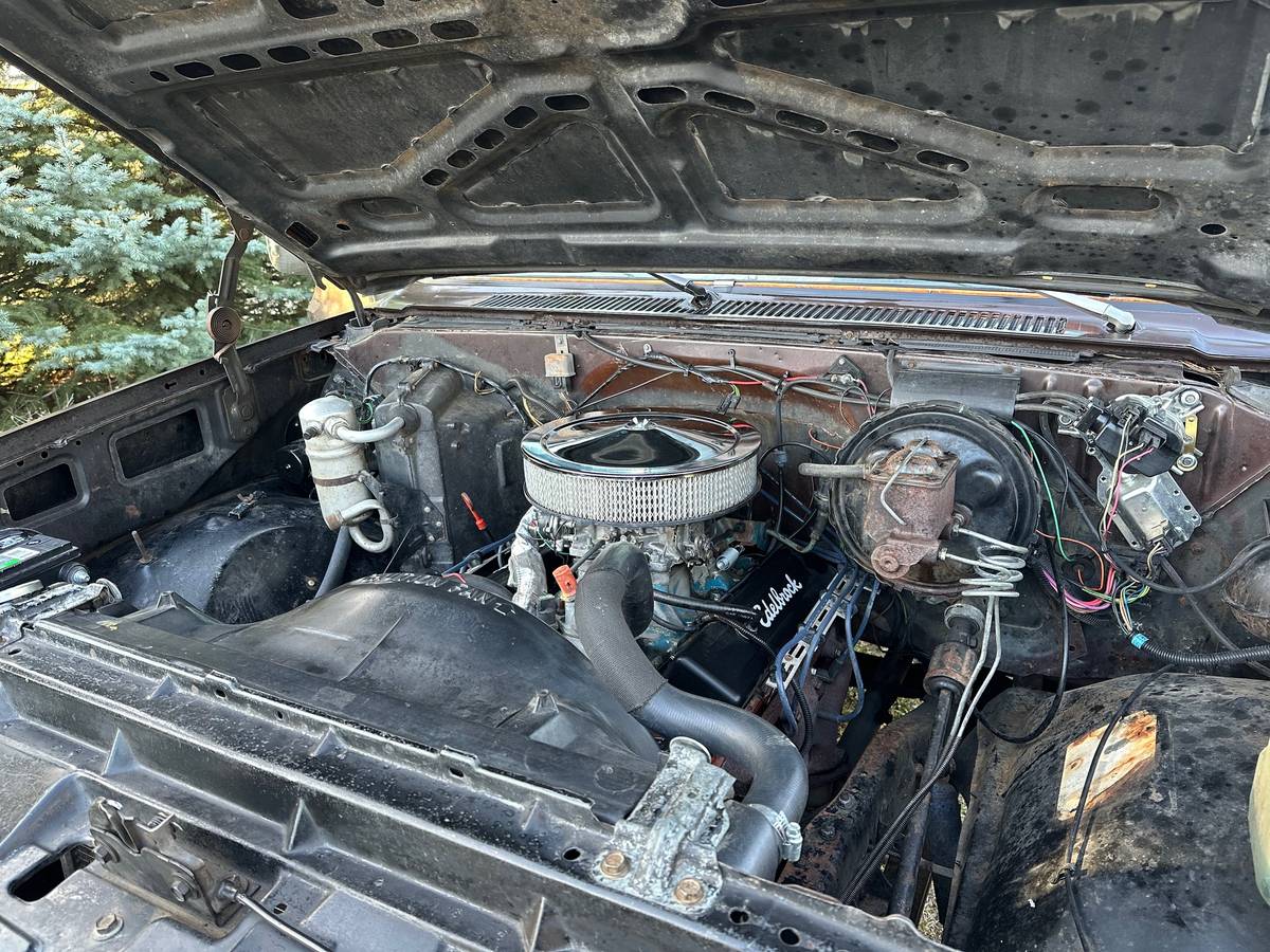 Chevrolet-34-ton-4x4-1984-brown-6