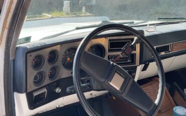 Chevrolet-40-gt-pickup-1987-5