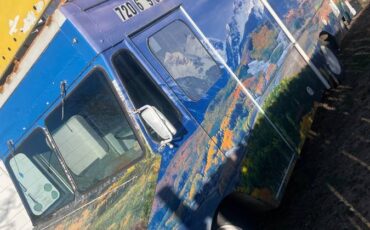 Chevrolet-Apv-cargo-diesel-1979-blue-1